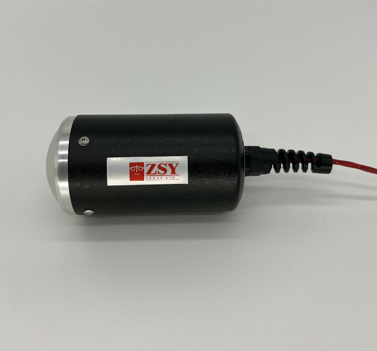 LP-DS100-syf (1).jpg