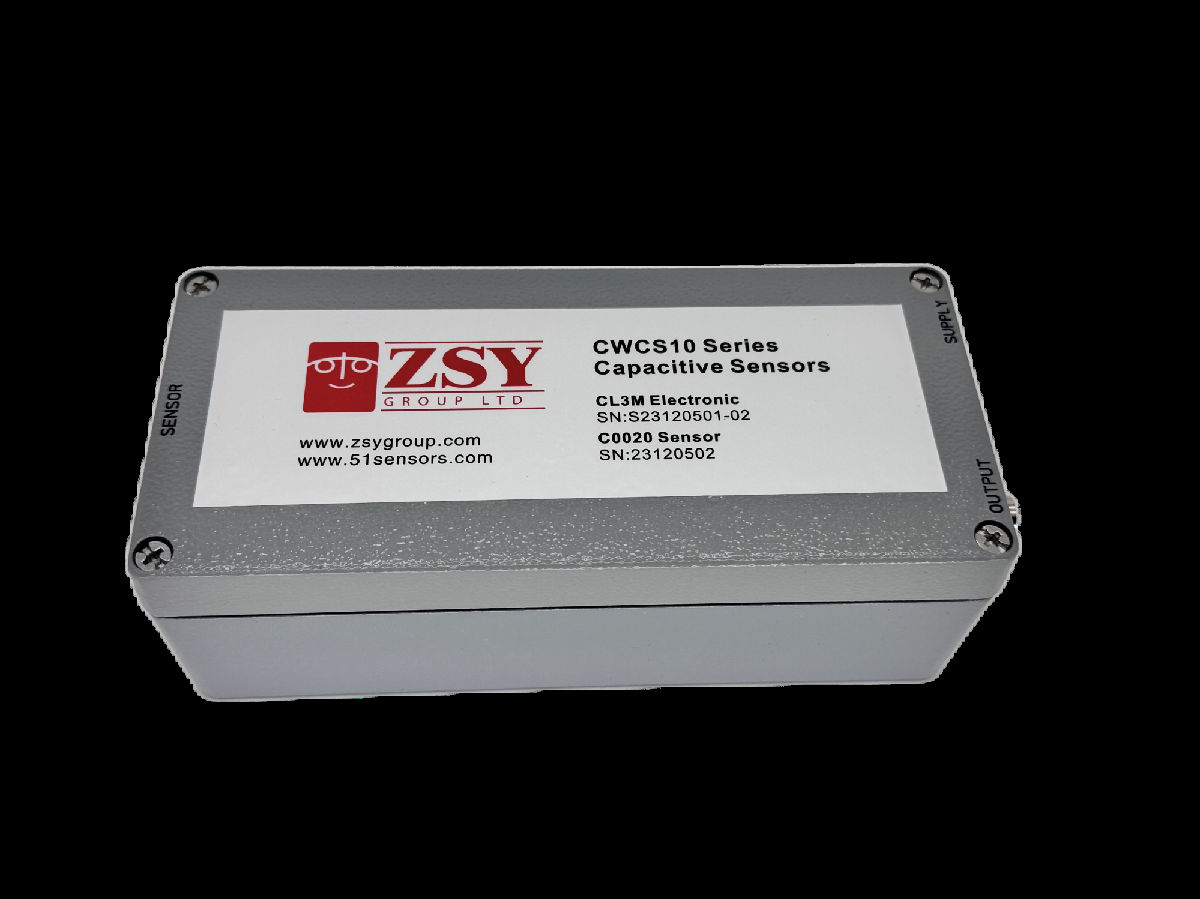 CWCS10-syf (2).png