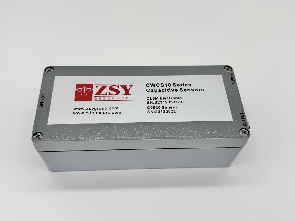 CWCS10-syf (11).jpg